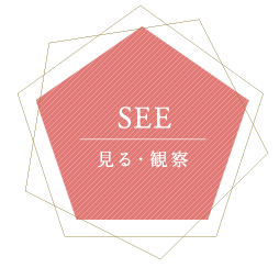 SEE見る･観察