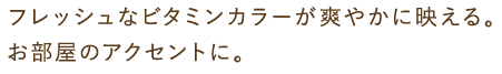 フレッシュなビタミンカラーが爽やかに映える。お部屋のアクセントに。